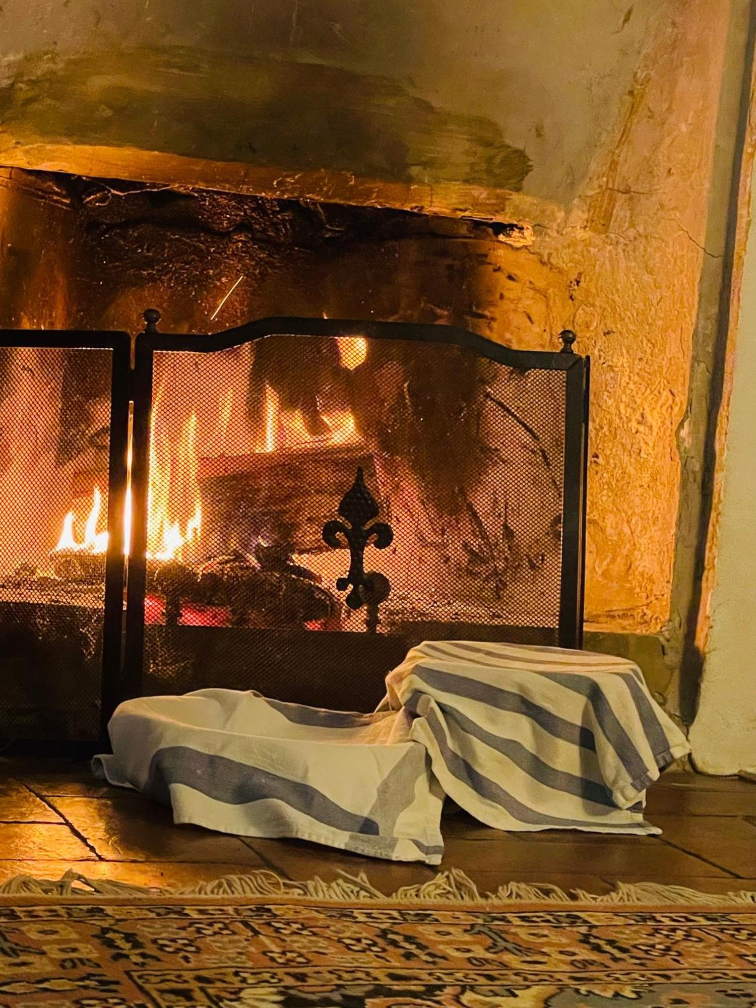 B&B Il Conte Giacomo Viarolo Zewnętrze zdjęcie